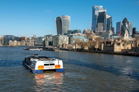 Lunch Cruise on the River Thames