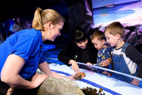 SEA LIFE London Aquarium